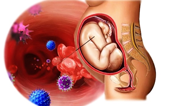 ЦМВ может передаться ребенку в утробе матери 