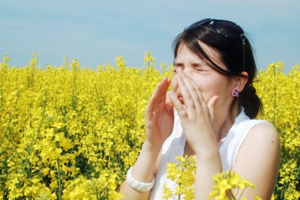 Пыльцевая аллергия