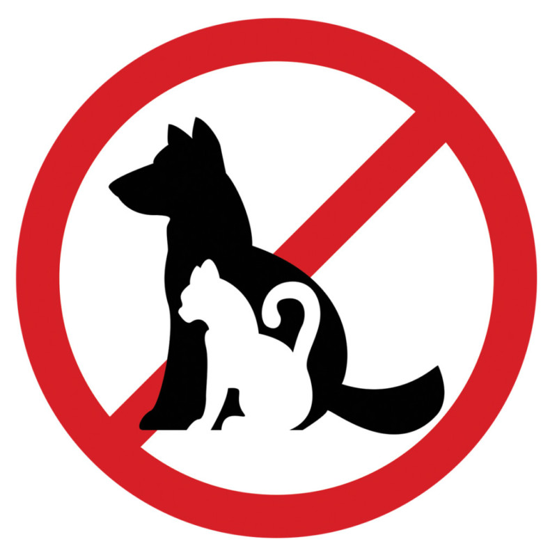 Не держите домашних животных