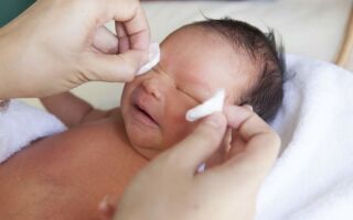 Опасность заражения золотистым стафилококком новорожденного ребенка