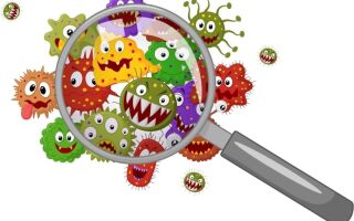 Симптомы и разновидности вируса герпеса по МКБ-10