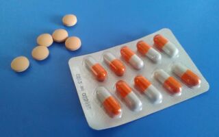Общие сведения о таблетках от дерматита