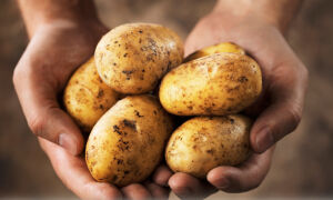 Как вывести бородавку картошкой